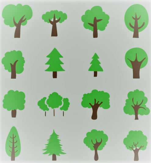 Modifiche e semplificazioni al regolamento forestale in vigore dal 1° settembre 2015